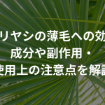 ノコギリヤシの薄毛への効果は？成分や副作用・使用上の注意点を解説