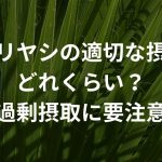 ノコギリヤシの適切な摂取量はどれくらい？【過剰摂取に要注意】