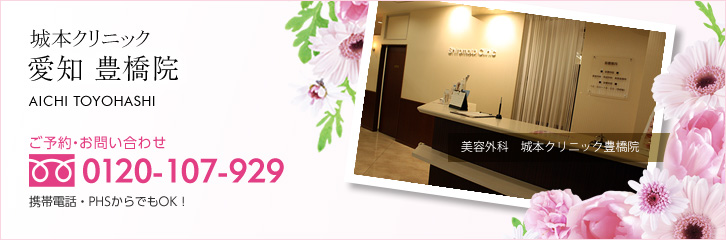 城本クリニック豊橋院