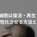 毛母細胞は復活・再生する?〜活性化させる方法とは〜