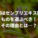 育毛剤はセンブリエキス配合のものを選ぶべき！その理由とは…？