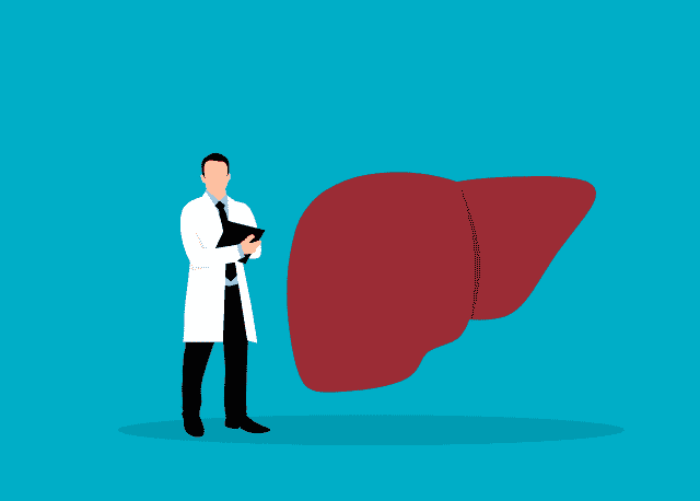 肝臓への影響