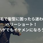 薄毛で髪型に困ったら迷わずベリーショート！〜ハゲでもイケメンになろう〜