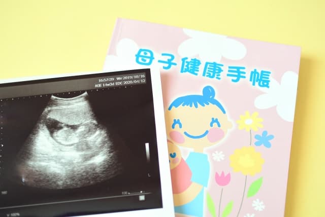 胎児の生殖器の形成や発育への影響
