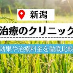 【新潟】植毛治療が可能な評判の高いクリニック5選｜植毛後の髪の状態も解説！