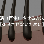 毛根を復活（再生）させる方法はある？【死滅させないために】