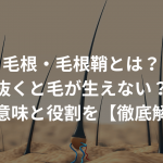 毛根・毛根鞘とは？抜くと毛が生えない？その意味と役割を【徹底解説】