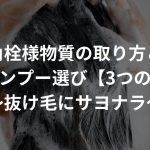 角栓様物質の取り方とシャンプー選び【3つの掟】〜抜け毛にサヨナラ〜