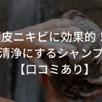 頭皮ニキビに効果的！？頭皮を清浄にするシャンプー5選！【口コミあり】