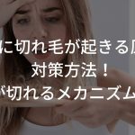 前髪に切れ毛が起きる原因と対策方法！【髪が切れるメカニズムとは】