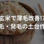 玄米で薄毛改善!?育毛・発毛の土台作りができる？