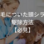 髪の毛についた頭シラミの駆除方法はコレ！【必見】
