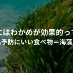 抜け毛にはわかめが効果的って本当？〜「抜け毛予防にいい食べ物＝海藻」の真実〜