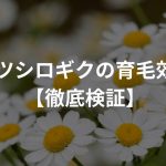 ナツシロギクの育毛効果【徹底検証】〜ハゲの植物好き〜